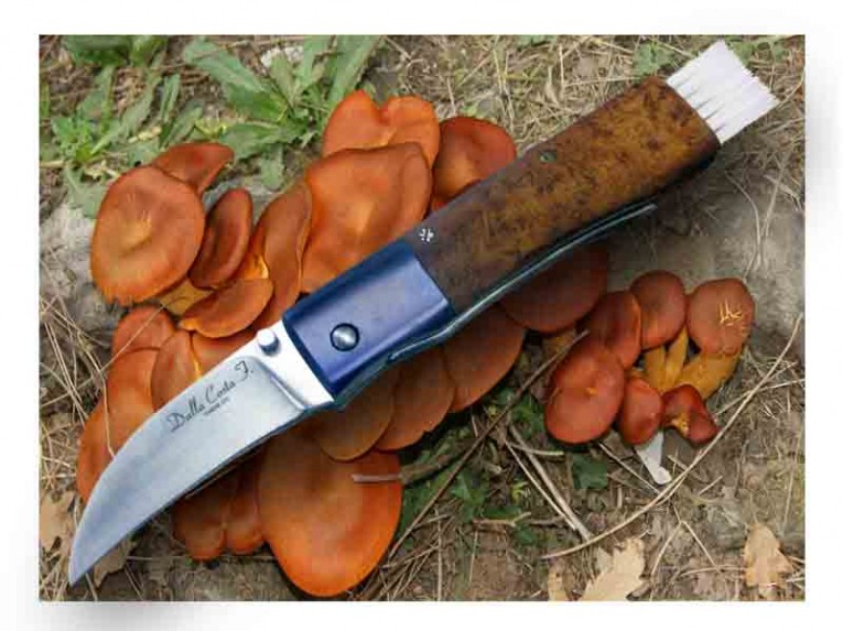 coltello per funghi